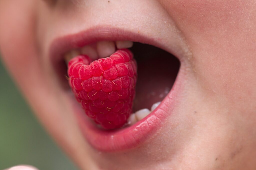 child, raspberry, summer-3680154.jpg