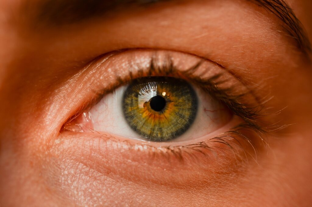 eye, iris, sight-2681783.jpg